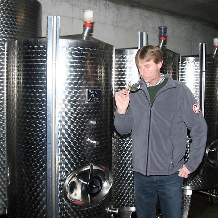 Ferienweingut Hensler Hotell Briedel Exteriör bild