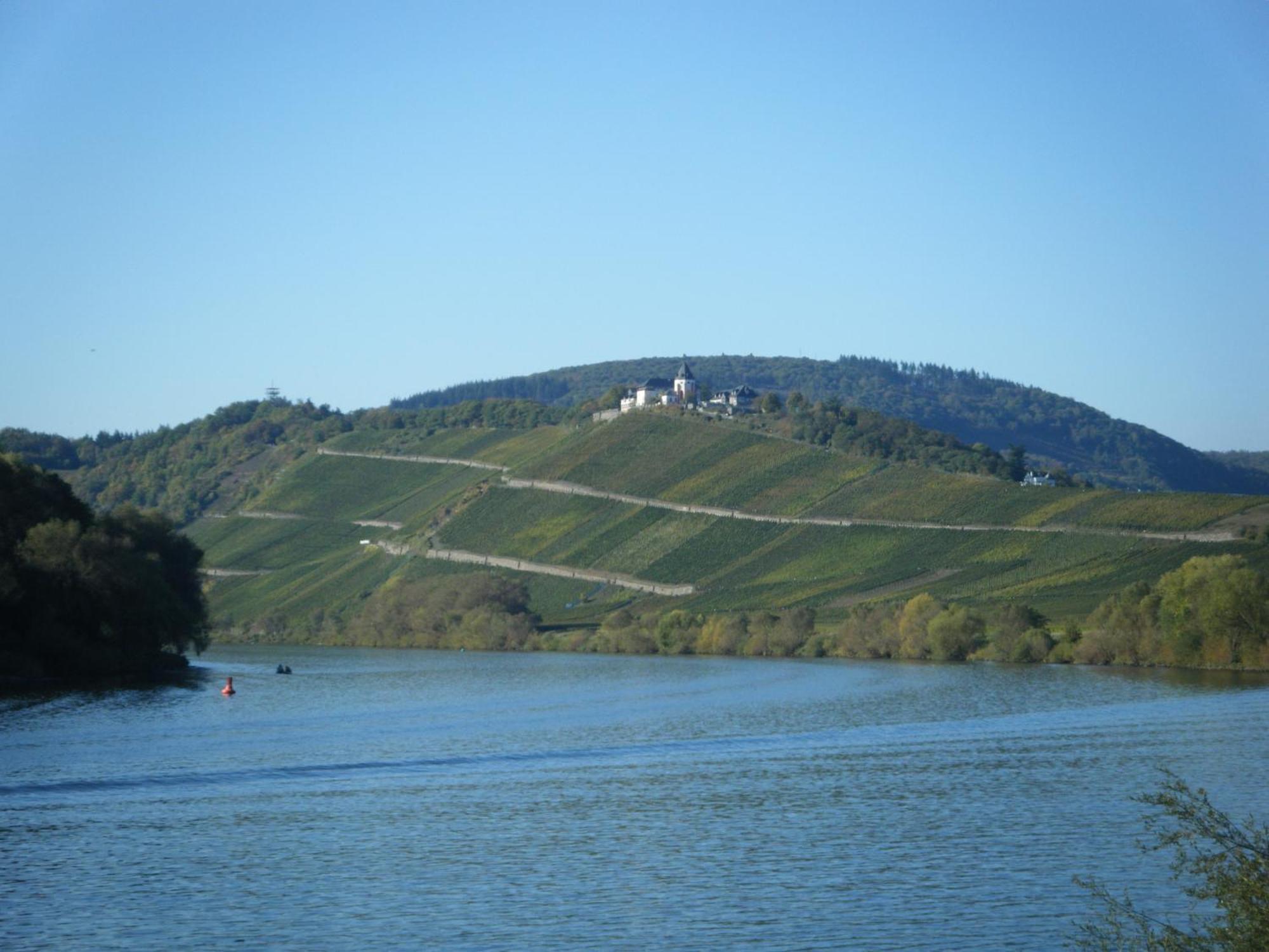 Ferienweingut Hensler Hotell Briedel Exteriör bild