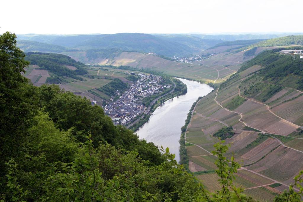Ferienweingut Hensler Hotell Briedel Exteriör bild
