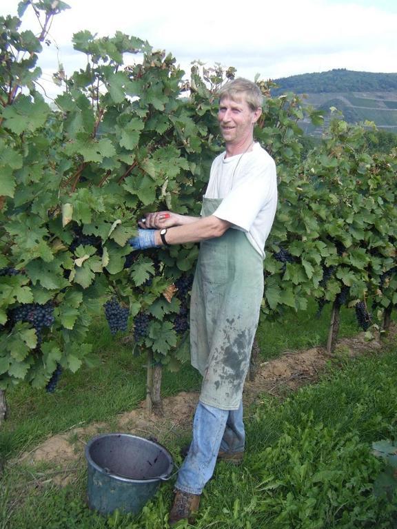 Ferienweingut Hensler Hotell Briedel Exteriör bild